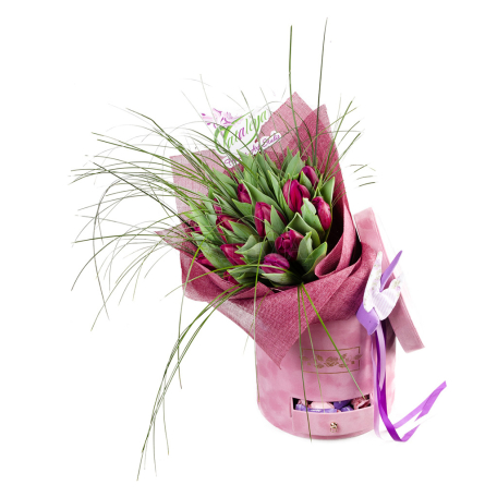 Composition «Cataleya Flowers Art Studio» tulip