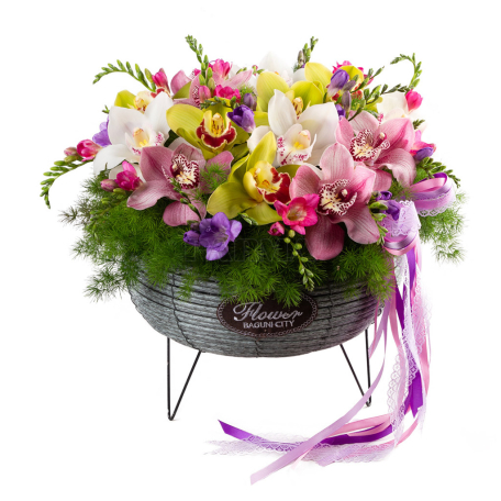 Composition «Cataleya Flowers Art Studio» freesia, orchid