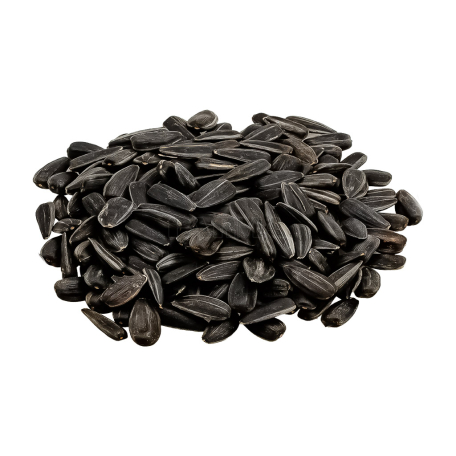 Sunflower seeds 