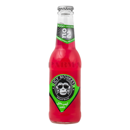 Զովացուցիչ ըմպելիք «Icy Monkey» կակտուս 250մլ