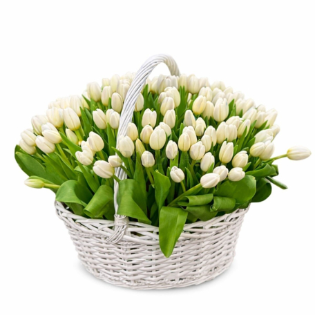 Կոմպոզիցիա «Latona Flowers» կակաչ 101հատ