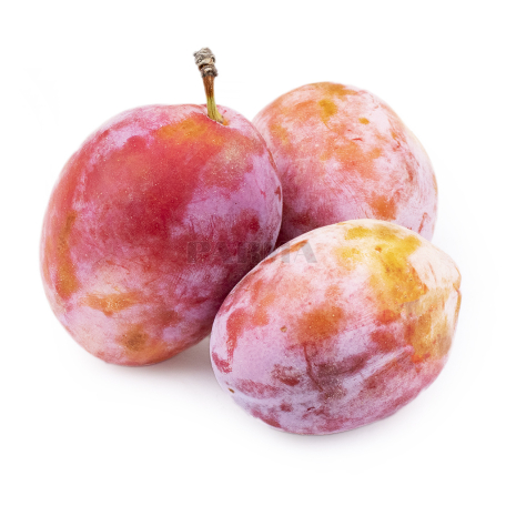 Plum Victoria kg