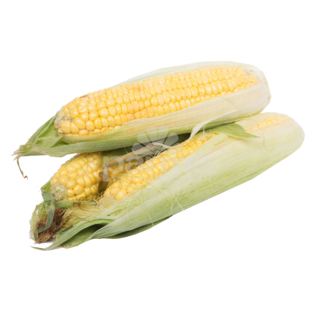 Corn pc