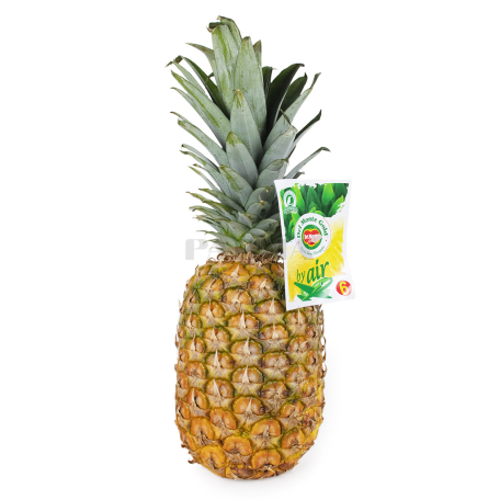 Pineapple moskovyan