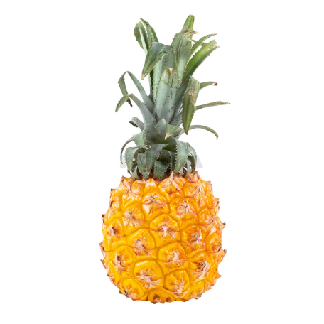 Pineapple mini