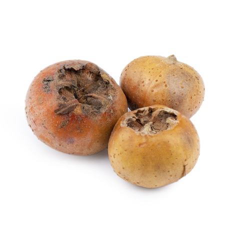 Medlar kg