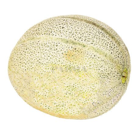 Melon kg
