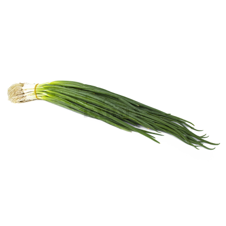 Onion green