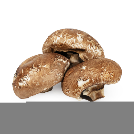 Mushrooms portobello kg