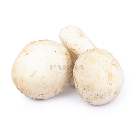 Mushrooms Champignon kg