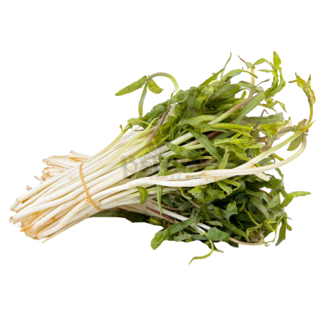 Կանաչի սիբեխ կգ Շ