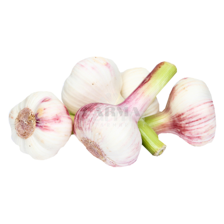 Garlic new kg