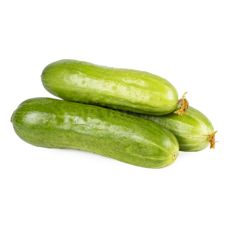 Cucumber nazrvan kg