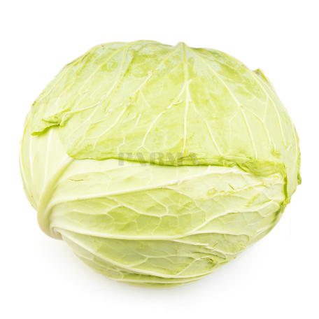 Cabbage kg