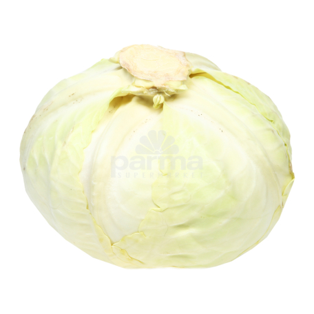 Cabbage kg