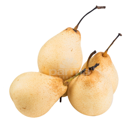 Chinese Pears kg