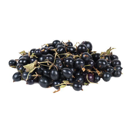 Currant black kg