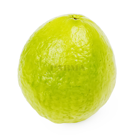 Guava
