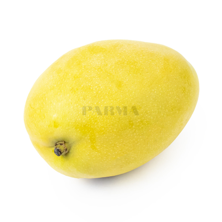 Big yellow mango Sh