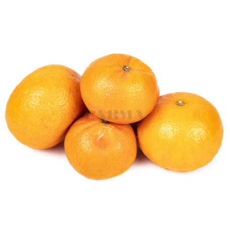Mandarin Morocco kg