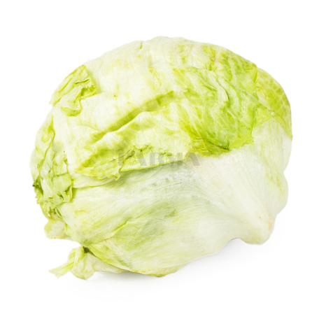 Cabbage new kg