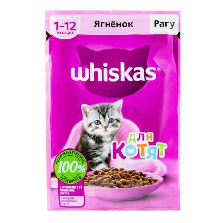 Cat food 