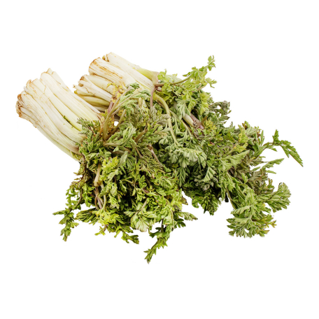 Зеленая мандак кг