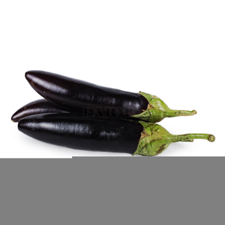 Eggplant local kg