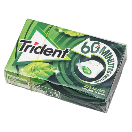 Chewing gum "Trident" spearmint, sugar free 17g