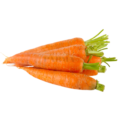 Морковь новая кг