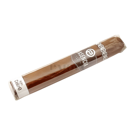 Cigar "Plasencia Alma Campo Sendero Toro"