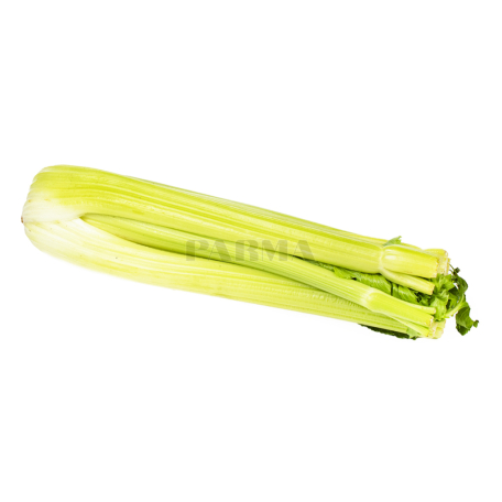 Celery USA