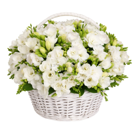 Կոմպոզիցիա «Latona Flowers» ֆրեեզիա 51հատ