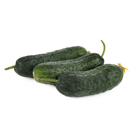 Cucumber russian kg