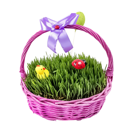 Խոտ զատկի, փոքր