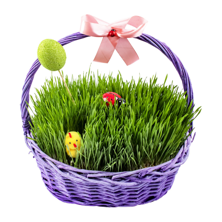 Խոտ զատկի, միջին