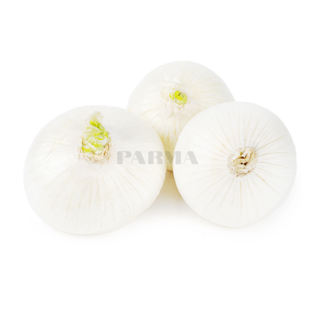 Onion white kg