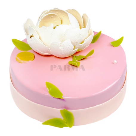 Cake "Parma" Spring