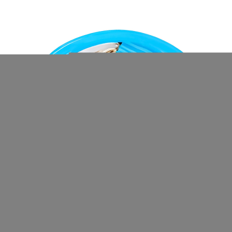 Միդիայի պահածո «Vici» ձեթի մեջ 200գ