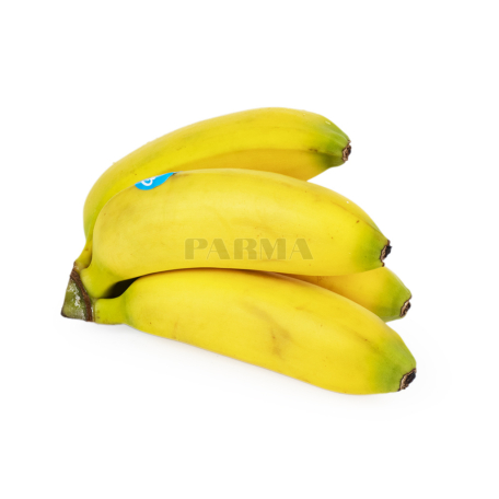 Hand of mini bananas kg