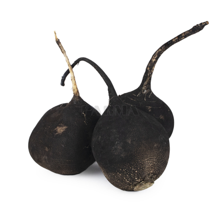 Редис черный кг Ш