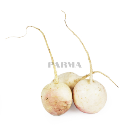 Редис белый кг Ш