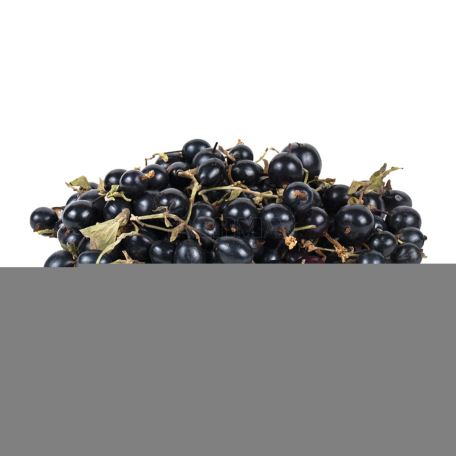 Currant black kg Sh