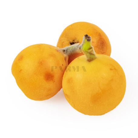 Մուշմալա կգ