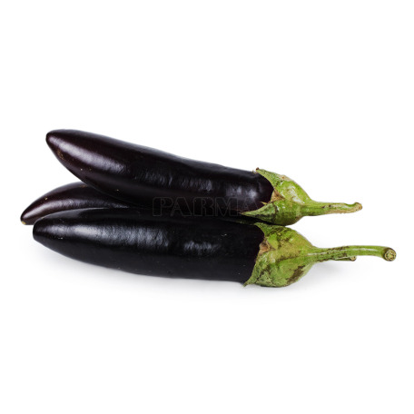 Eggplant kg Sh