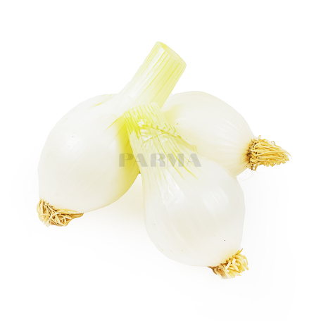 Սոխ Սպիտակ կգ Շ