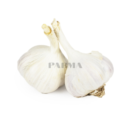 Чеснок кг Ш