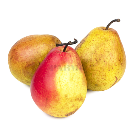 Pear Forest Beauty kg Sh