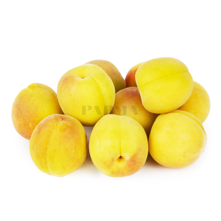 Apricot kg Sh