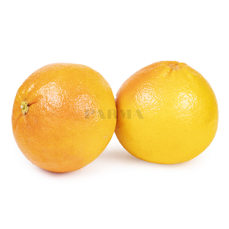 Թուրինջ կգ Շ